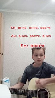 Разбор песни А муха тоже вертолёт