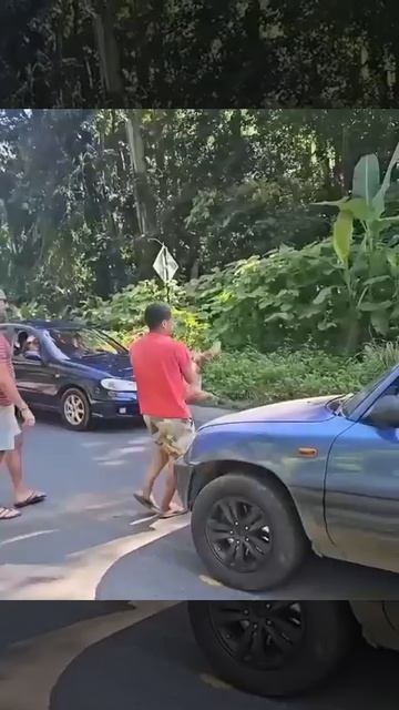 Видео от МЯУтаверс – как метавселенная, но с котами