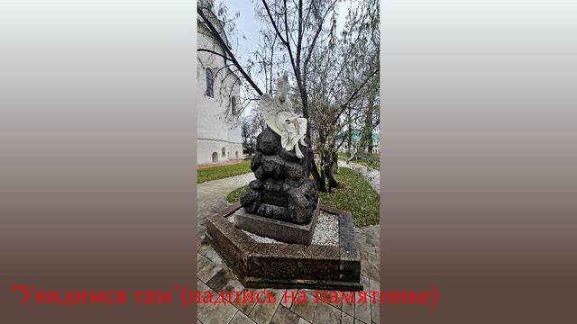 Новодевичий монастырь 22.11.2025