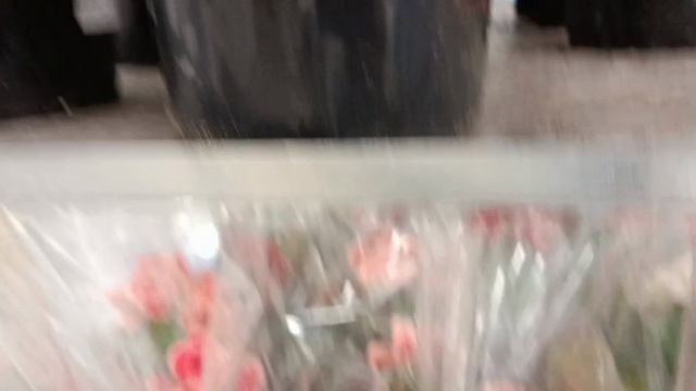 #красота цветов в оби в Брянске