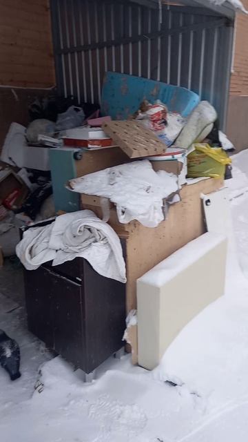 на мусорке порядок , убралась супер ♻️💮✨️