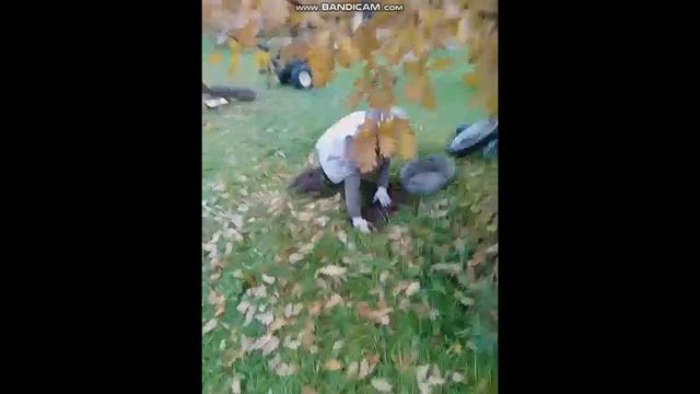 октябрь 2025 деревня . Испытание трицикла , посадка мицелия белого гриба под дубы