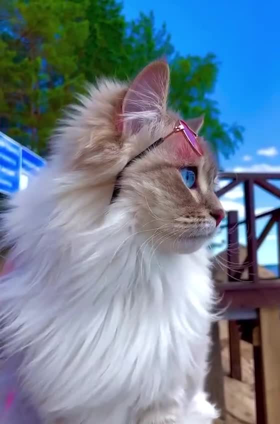 Врываемся в выходные 🥳😻