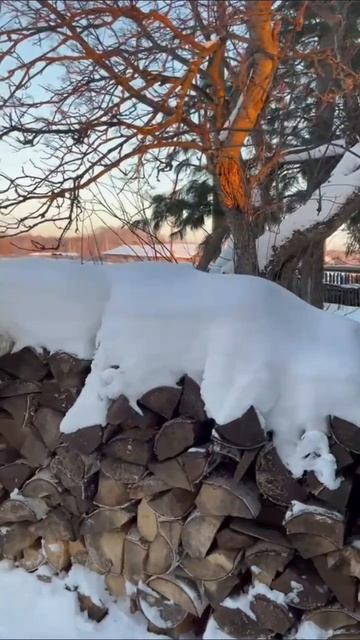 Метель, снег и чудеса на дороге. Прошло 40 дней после первого снега и настала зима.