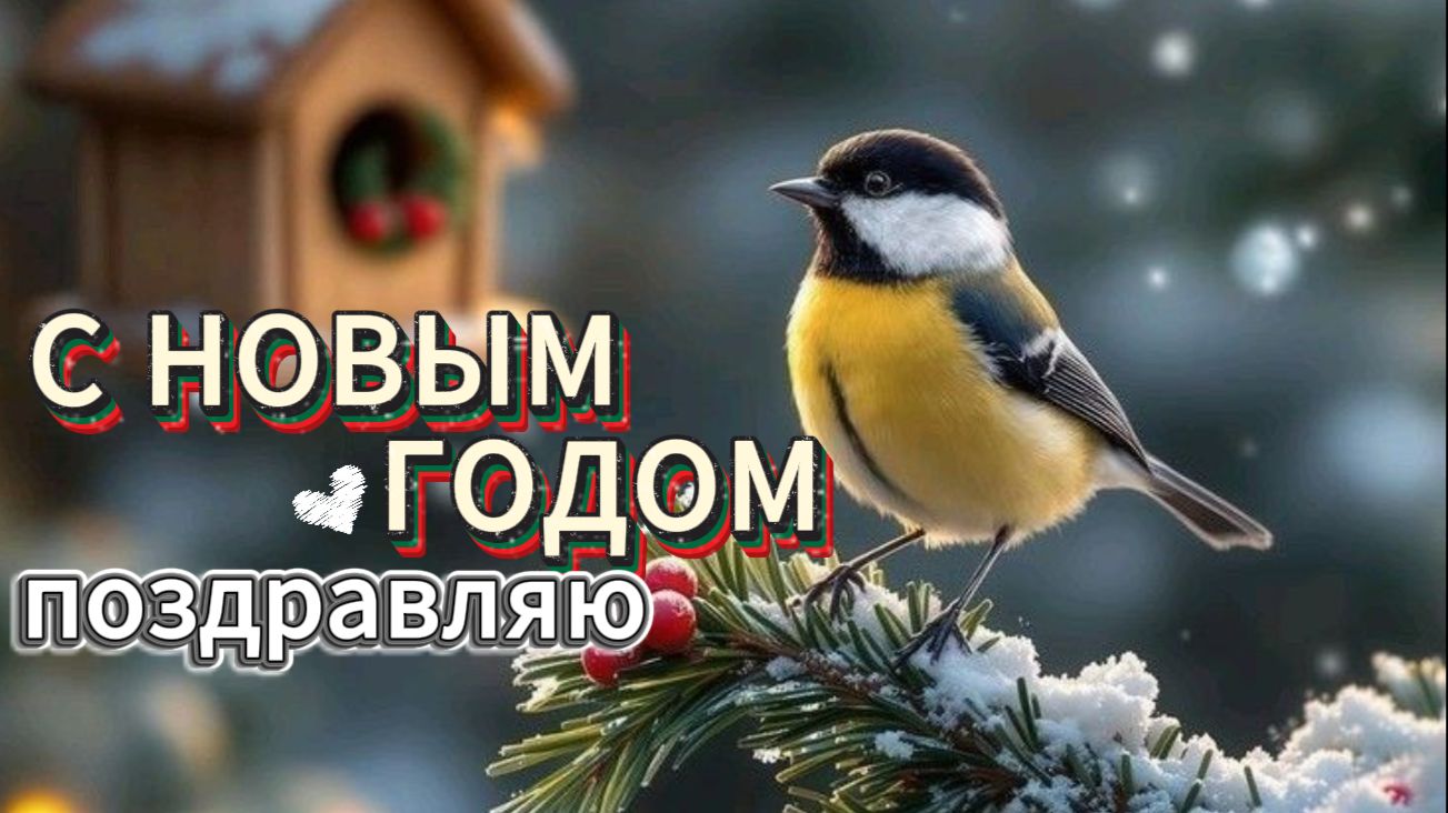 поздравление на новый год — душевное видео, чтобы напомнить о празднике и поднять настроение