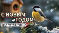 поздравление на новый год — душевное видео, чтобы напомнить о празднике и поднять настроение