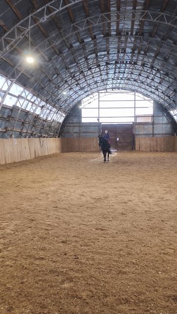 Оксана Новикова и Дольче Вита, контрперемена на галопе в манеже, готовимся к "Большому призу".