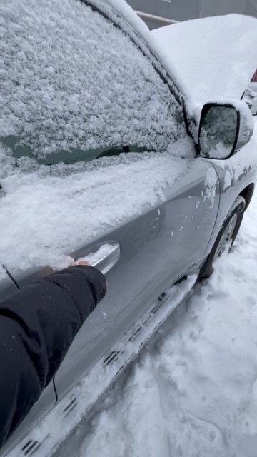 2011 TOYOTA LAND CRUISER 200