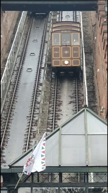 Будапешт. Ноябрь 2025 года.