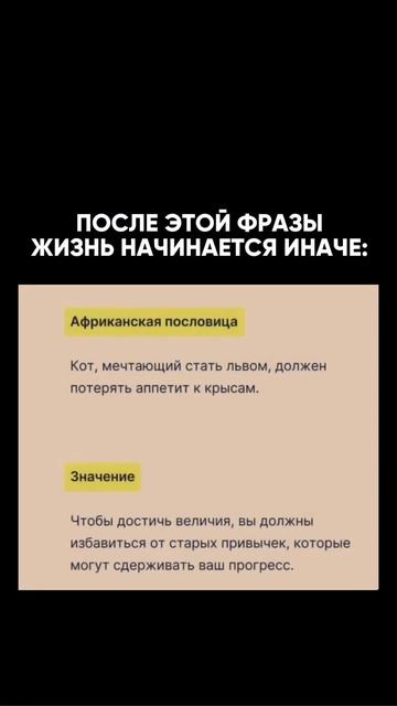Всё о рабочих бизнес-связках в моем ТГ, ссылка в шапке профиле☑️