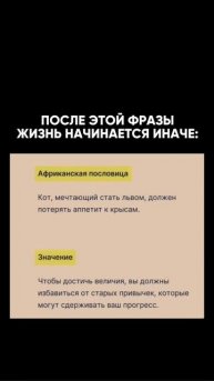 Всё о рабочих бизнес-связках в моем ТГ, ссылка в шапке профиле☑️