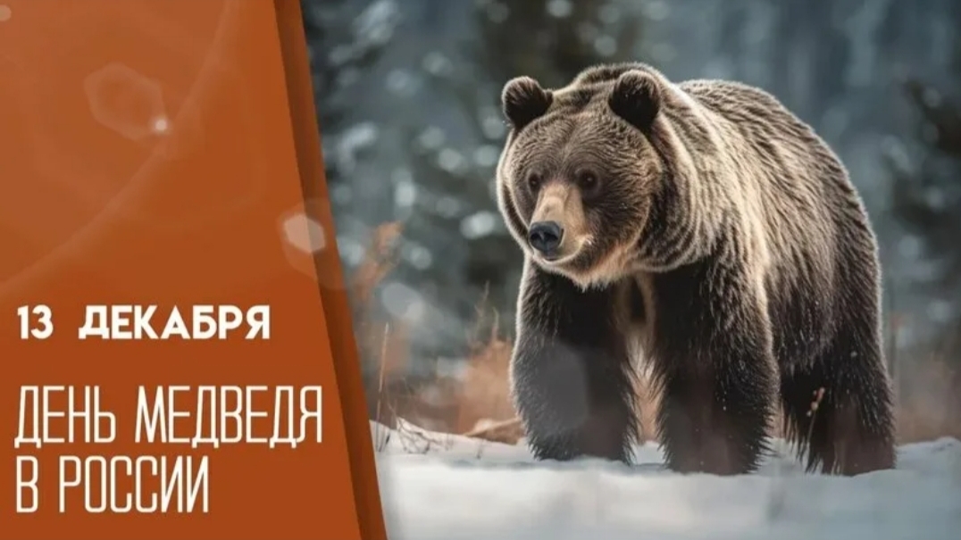 13.12.25 - День медведя