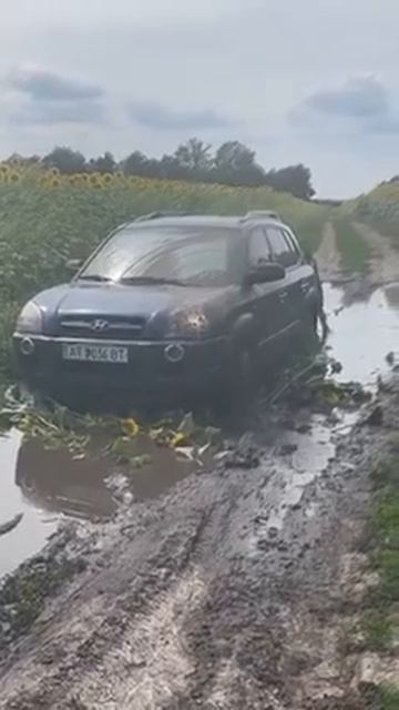 Видео от Залипательные, прикольные видеоролики бесплатно