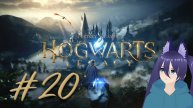 Hogwarts Legacy / Хогварц легаси / Хогварц наследие (20 часть) Себастьян Гаденыш...