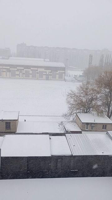 зима пришла. Ставрополь 13 декабря 2025