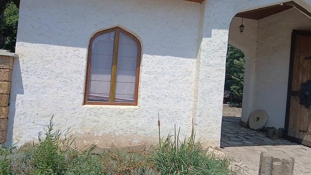 Обалденные растения ростут рядом с гостиницей Сервет на Чёрном море в Крыму