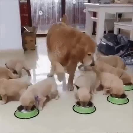 Вроде все на месте..🙂