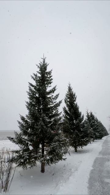 Новый год в Екб