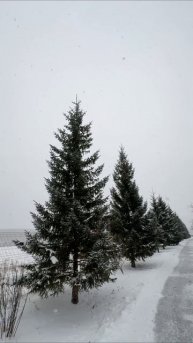 Новый год в Екб