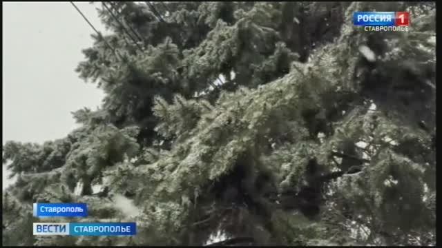 Вести. Ставропольский край» 13.12.2025 (20.50)