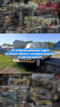 РГ: в России начались торги за новую «Волгу», которую оценили в 1,25 млн рублей
