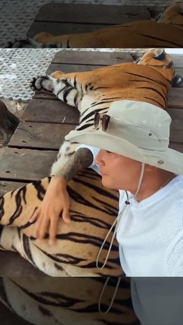 Видео от Залипательные, прикольные видеоролики бесплатно