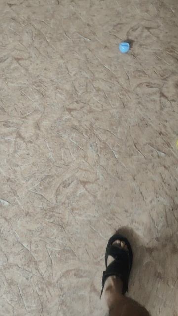 15cb6773-d5bf-4ba6-a376-6534dfacfef7-1_all_109.mp4