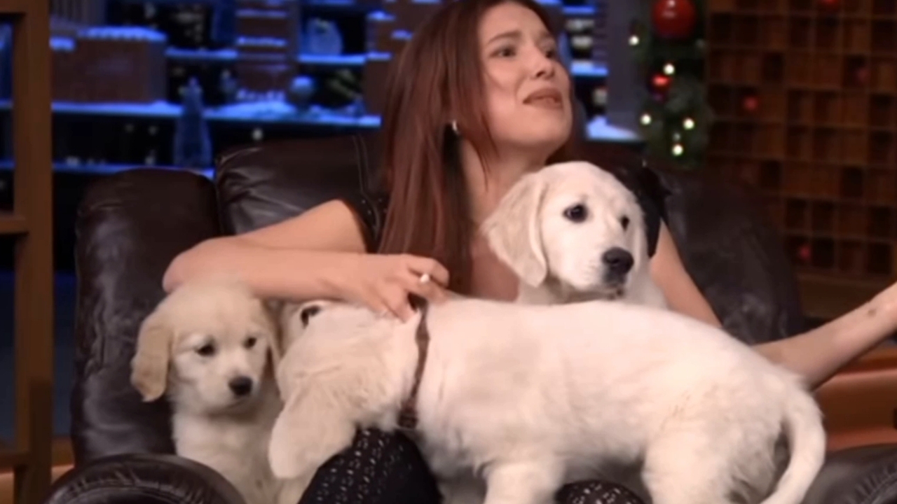 Викторина с Милли Бобби Браун | «Вечернее шоу» с Джимми Фэллоном в главной роли