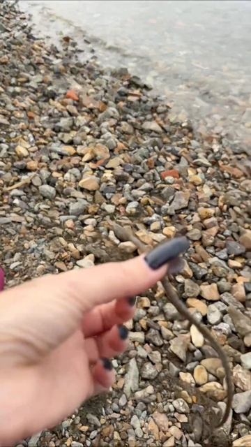 учим китайский 😆