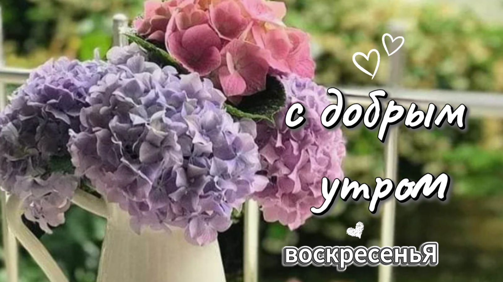 Доброе утро воскресенье — идеальный день для отдыха