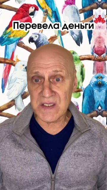 Ни денег, ни попугая #мошеловка #авито #УчимШарить