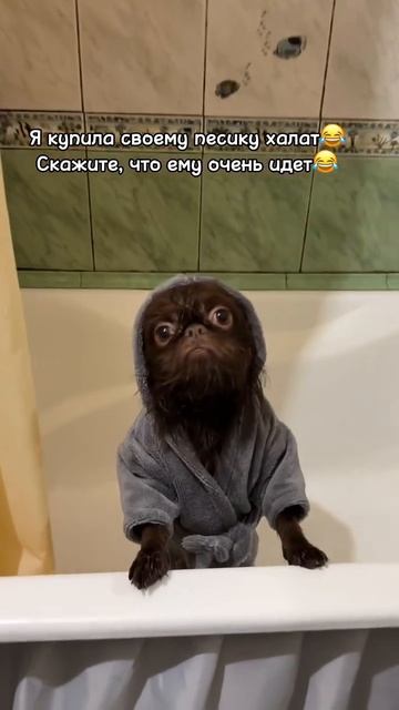 Да крутой мачо✌))