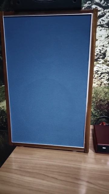 O-noorus D1 PFFB + 10МАС-1М  Blue