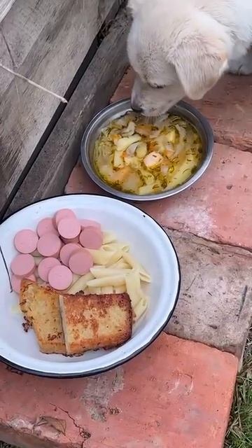 СВО👉ЖМИ (КАДРЫ 21+)👈