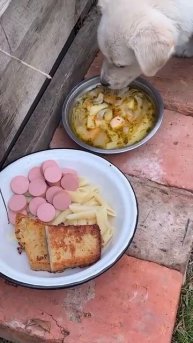 СВО👉ЖМИ (КАДРЫ 21+)👈