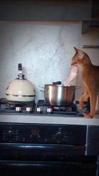 Что за грация😏