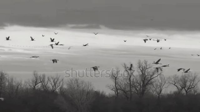 Музыка Эдуарда Артемьева