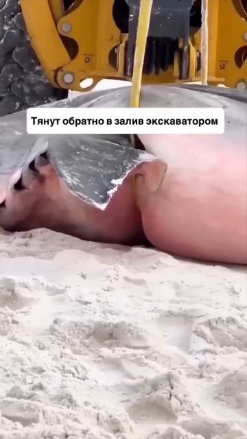 Видео от За Трофеем: Охота и Рыбалка