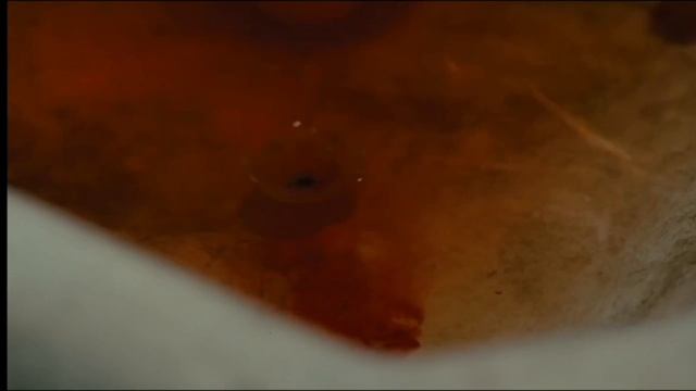 Как сон Кэмерона и «партизанские» съемки создали «Терминатора»? Рецепт культового кино без бюджета