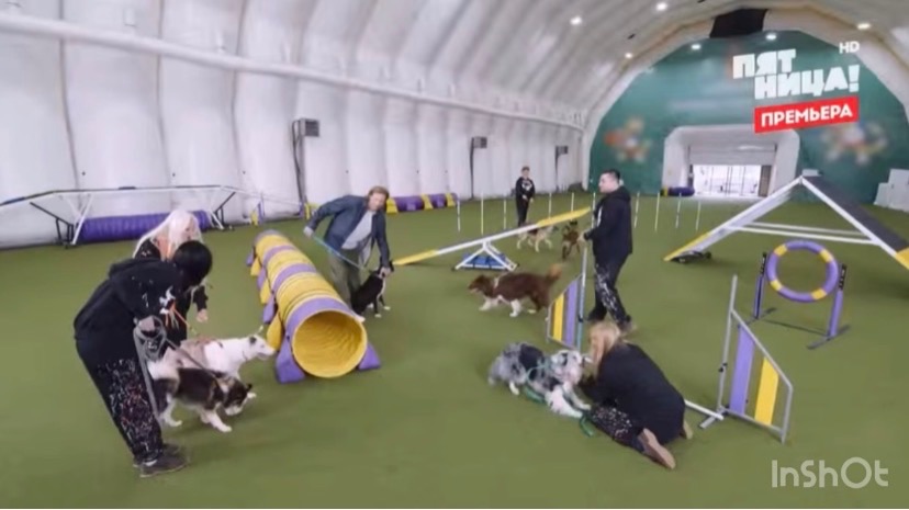 «Звезды под капельницей» 3 выпуск 28.11.25 необычная терапия с собаками в борьбе с зависимостями