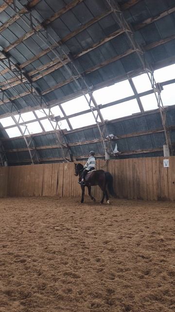 Василиса и Аквилон, рысь без стремян, упражнение на равновесие смелость и баланс.