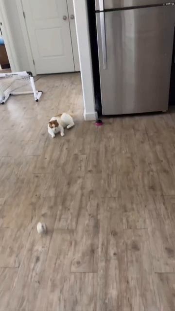 Лучший голкипер😂