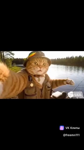 Видео от За Трофеем: Охота и Рыбалка