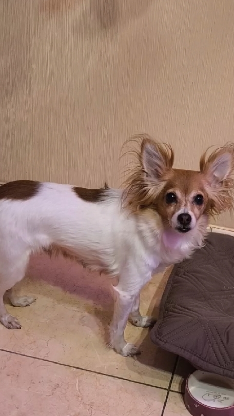 Сколько можно??? Пойдем уже на диванчик 🤗