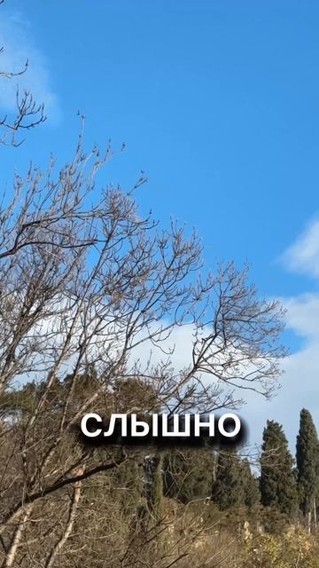 Крым сегодня! Сильный ветер и похолодание. Штормовое предупреждение #крым #крымсегодня #ветервкрыму