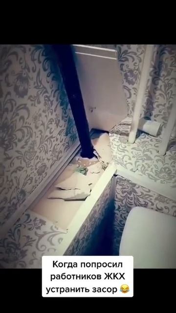 Видео от Залипательные, прикольные видеоролики бесплатно