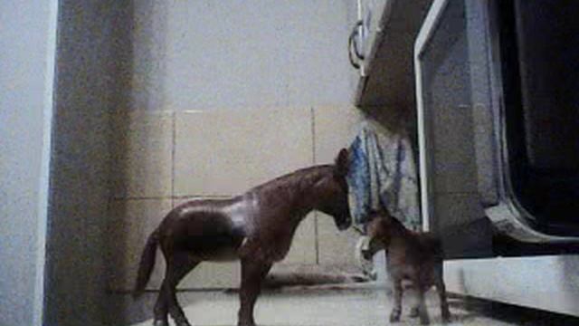 октябрёвский НОЧНОЙ КУХОННО-КОМНАТНЫЙ БЛОГ №1547 Я ПИШУ СЕГОДНЯ ВСЕМ ДО КЛЮЧИКОВ.(05.10.2025г)06.10