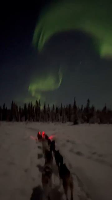 На Аляске сняли одно из самых красивых видео этого года