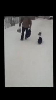 Если собаку, то только такую 😁 #смешноевидео #shorts #top