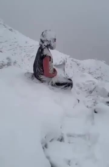 Подпишись 👉 https://kamennyi-zver.ru/